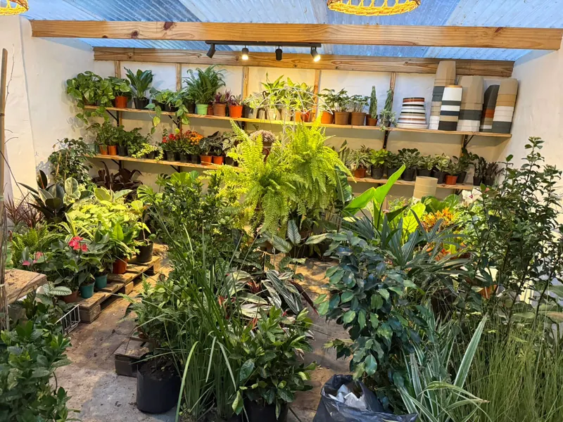 Vivero La Querencia en Pergamino