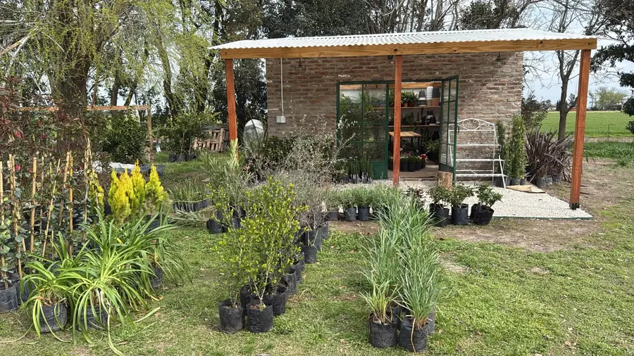 La Querencia, vivero de campo en Pergamino
